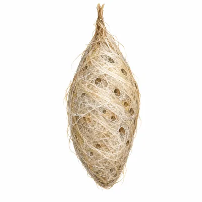 cocoon