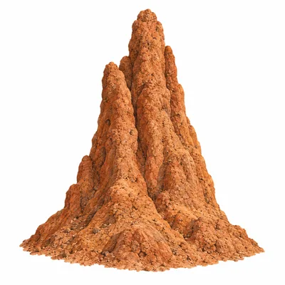 termite mound