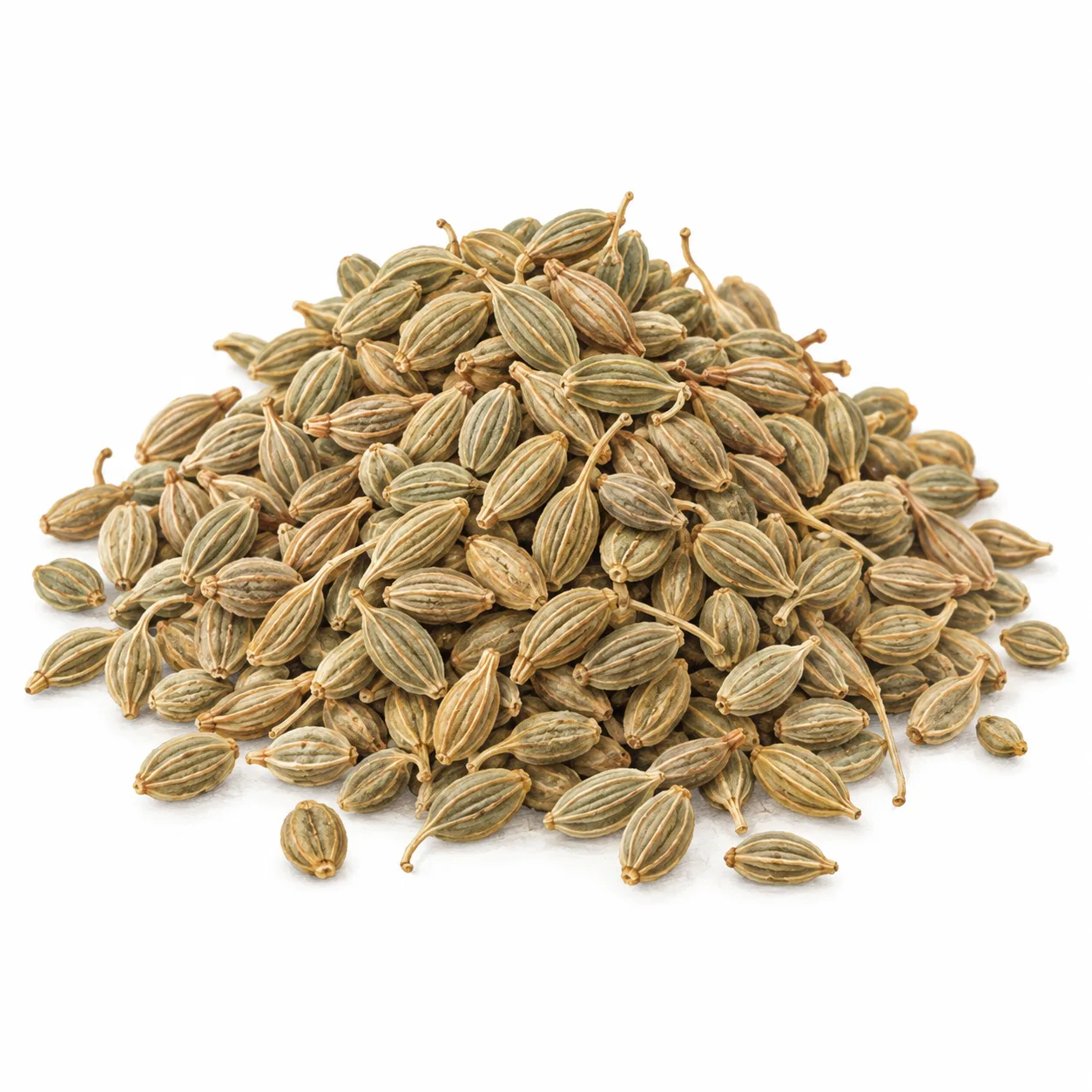aniseed