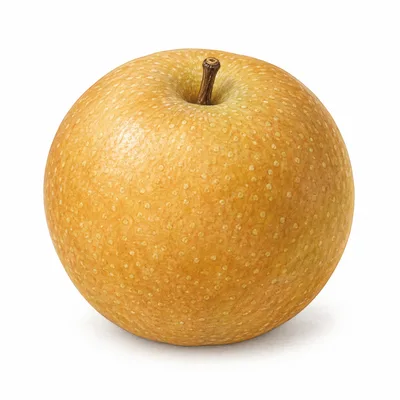 Asian pear
