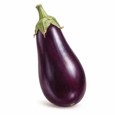 aubergine