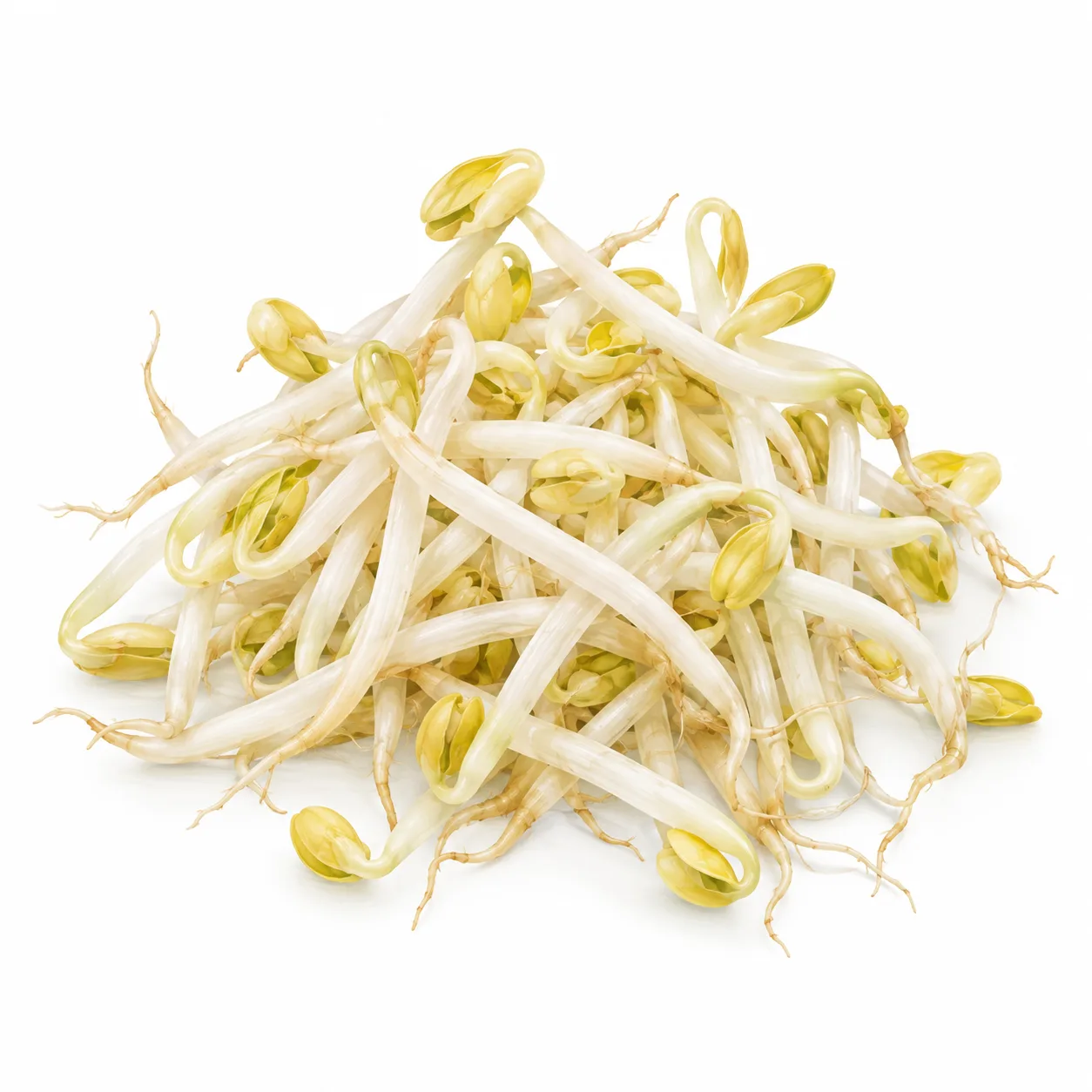 germes de soja