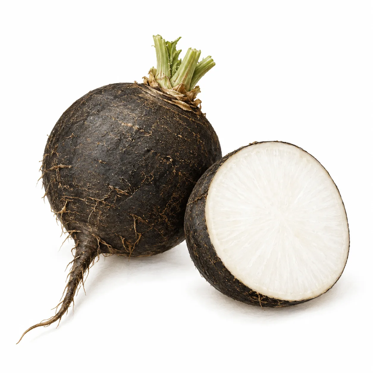black radish