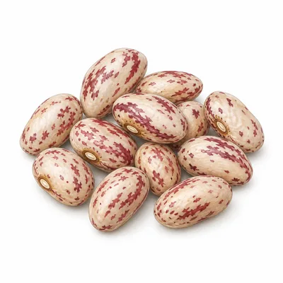 borlotti bean