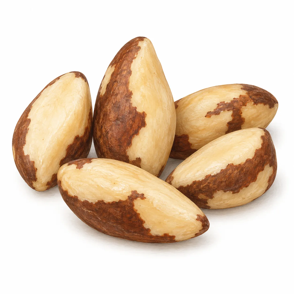 Brazil nut