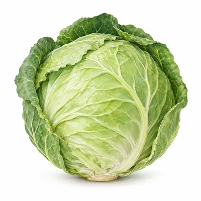 cabbage