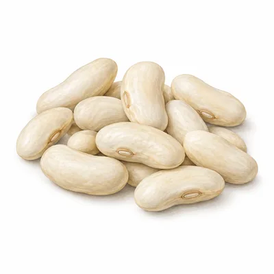 cannellini bean