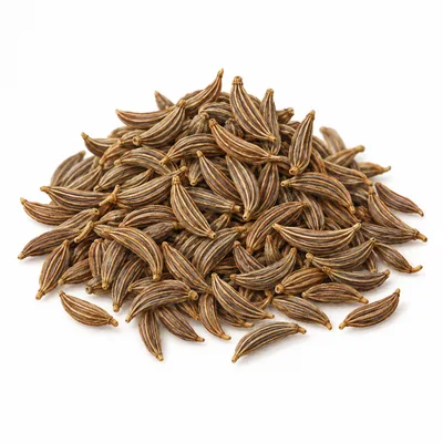 caraway seed