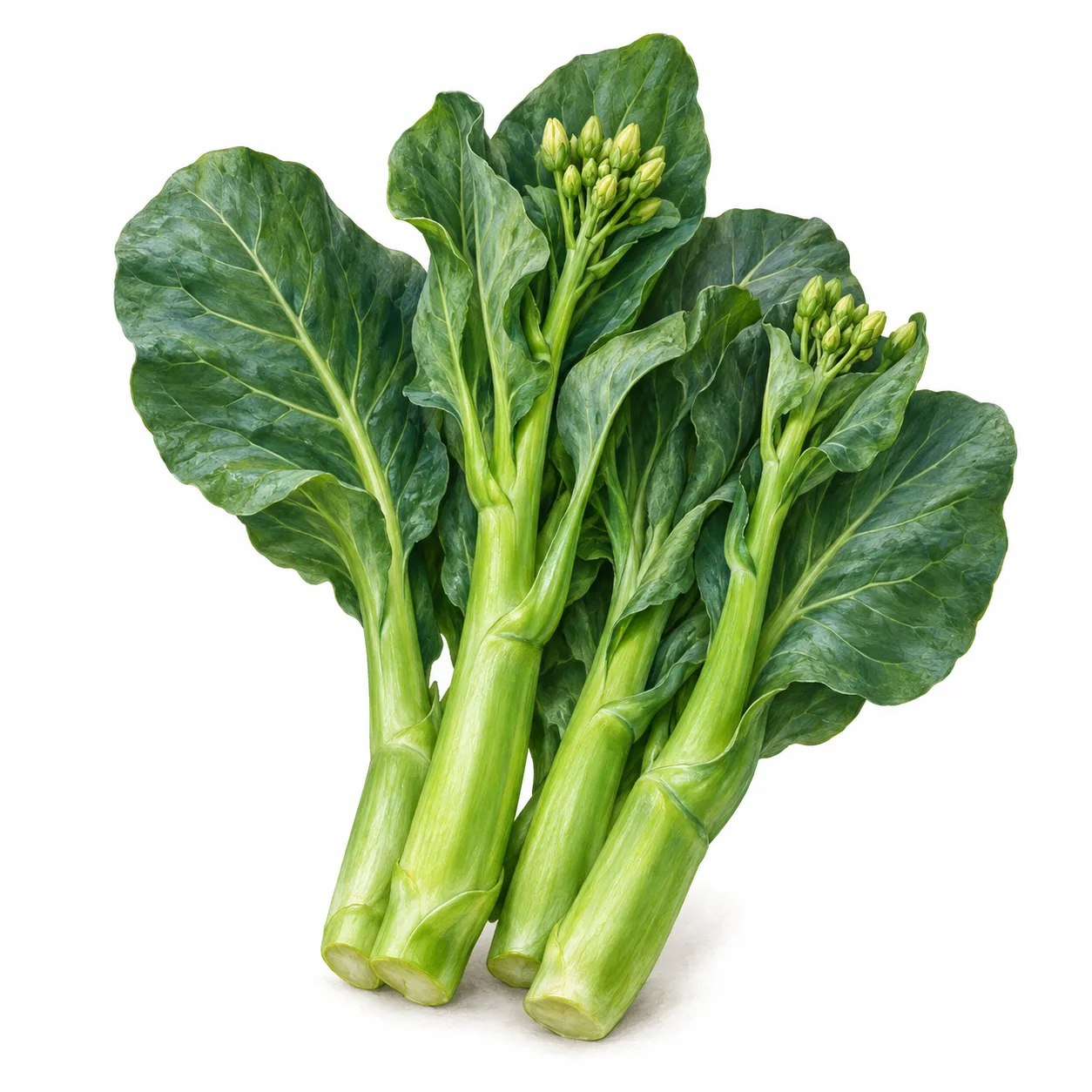 brocoli chinois