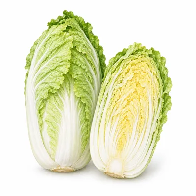 Chinese cabbage