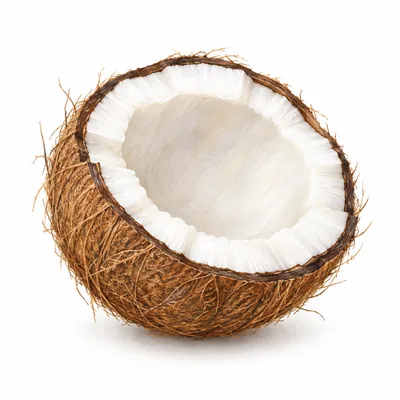 coconut