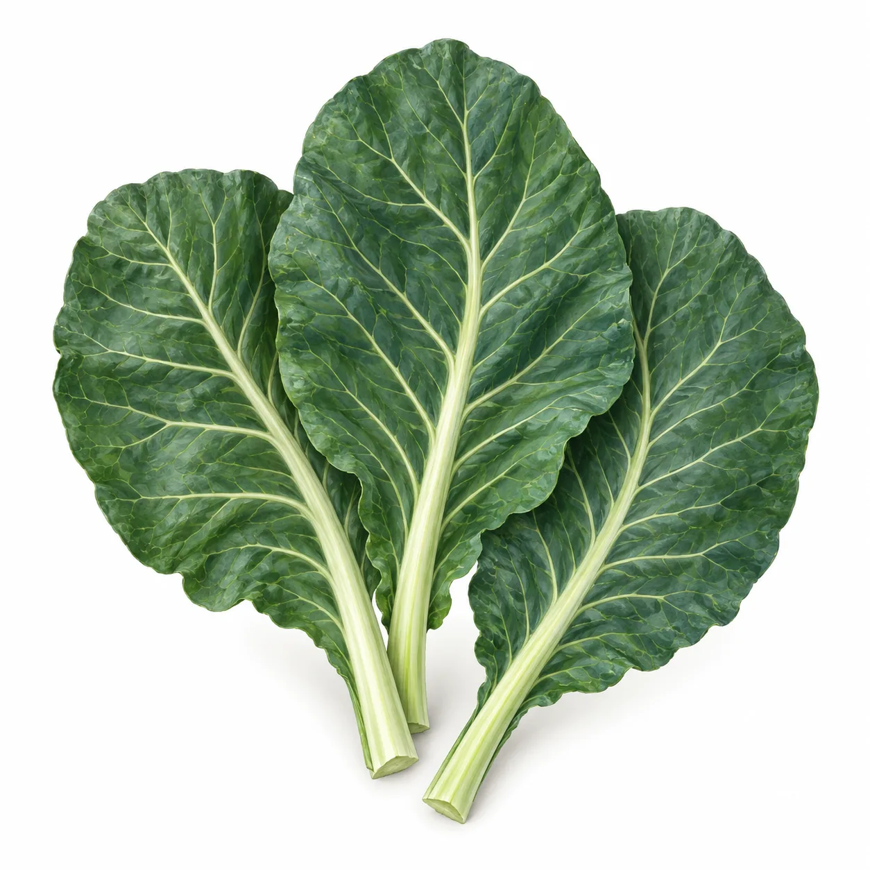 chou vert