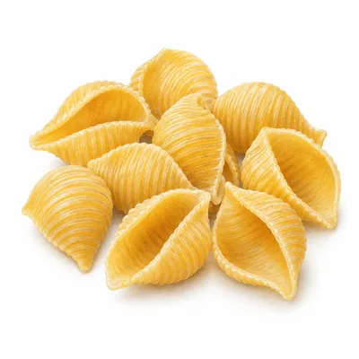 conchiglie