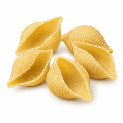 conchiglioni
