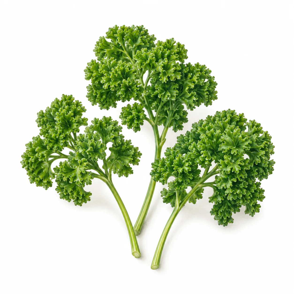 kruspersille