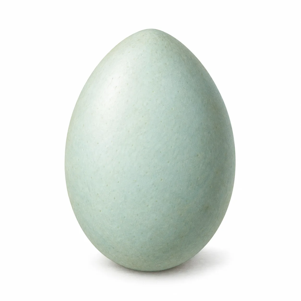 duck egg