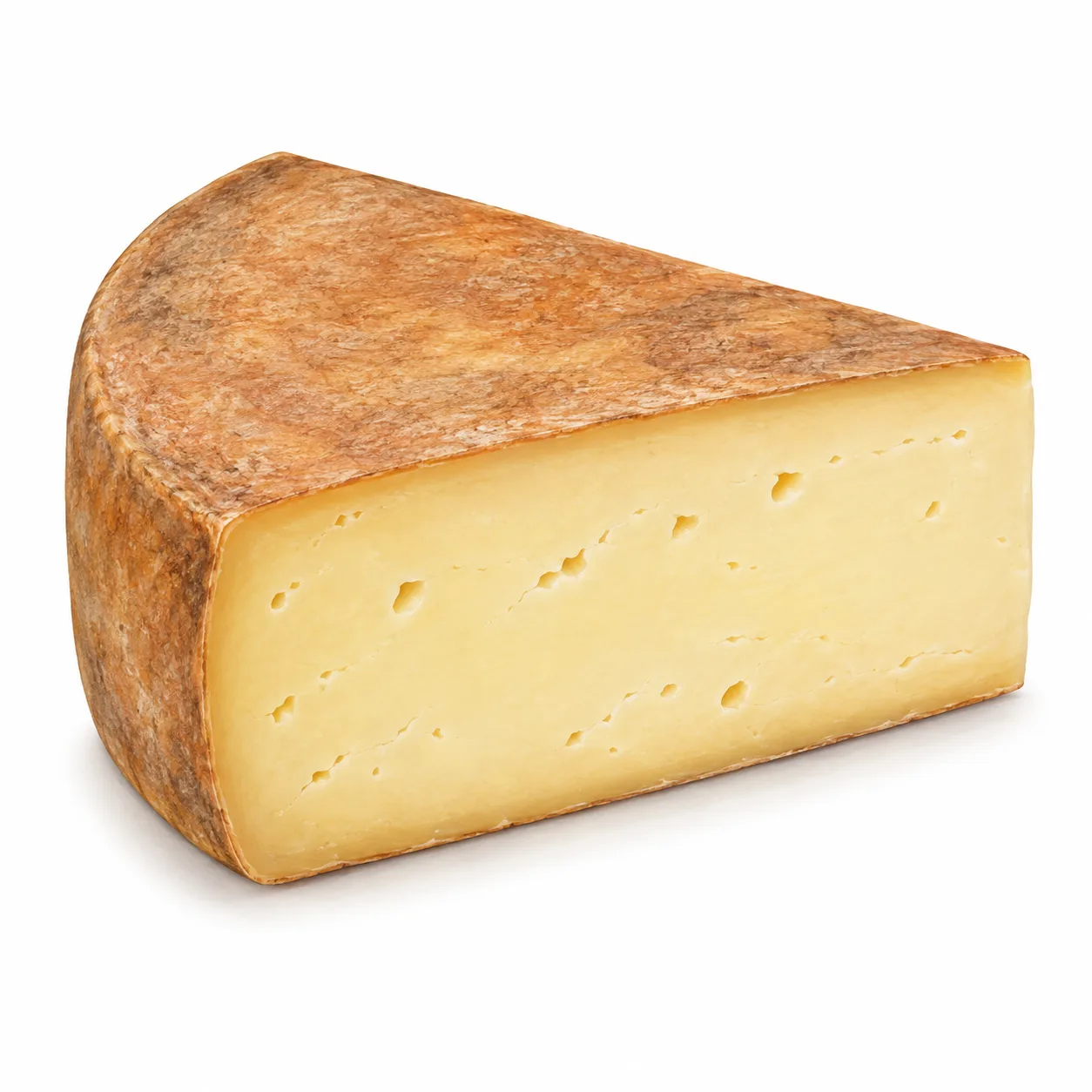 fontina