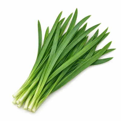garlic chives