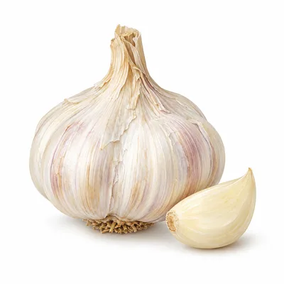 garlic