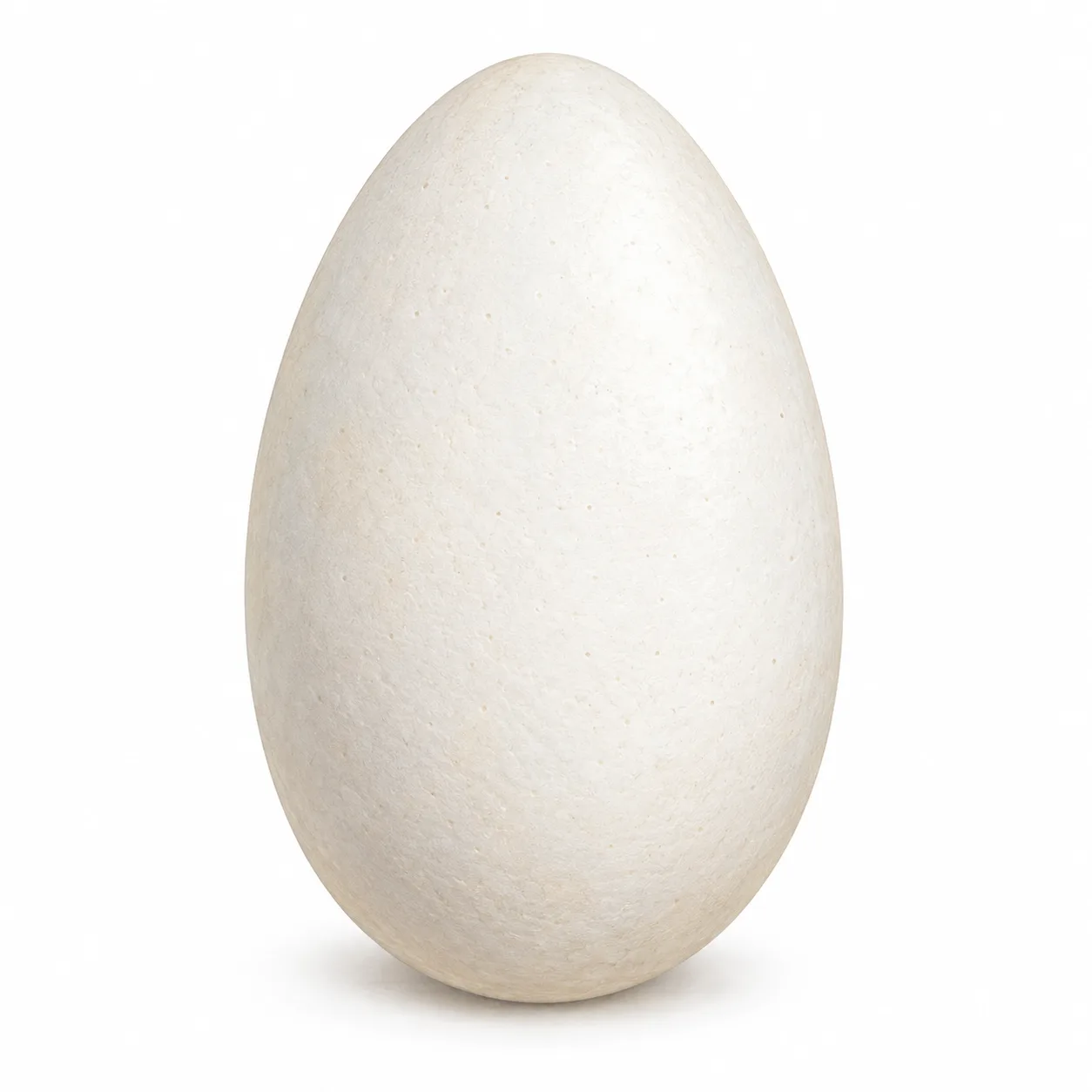 Gänseei