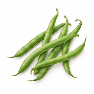 green bean