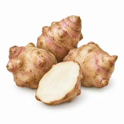 Jerusalem artichoke