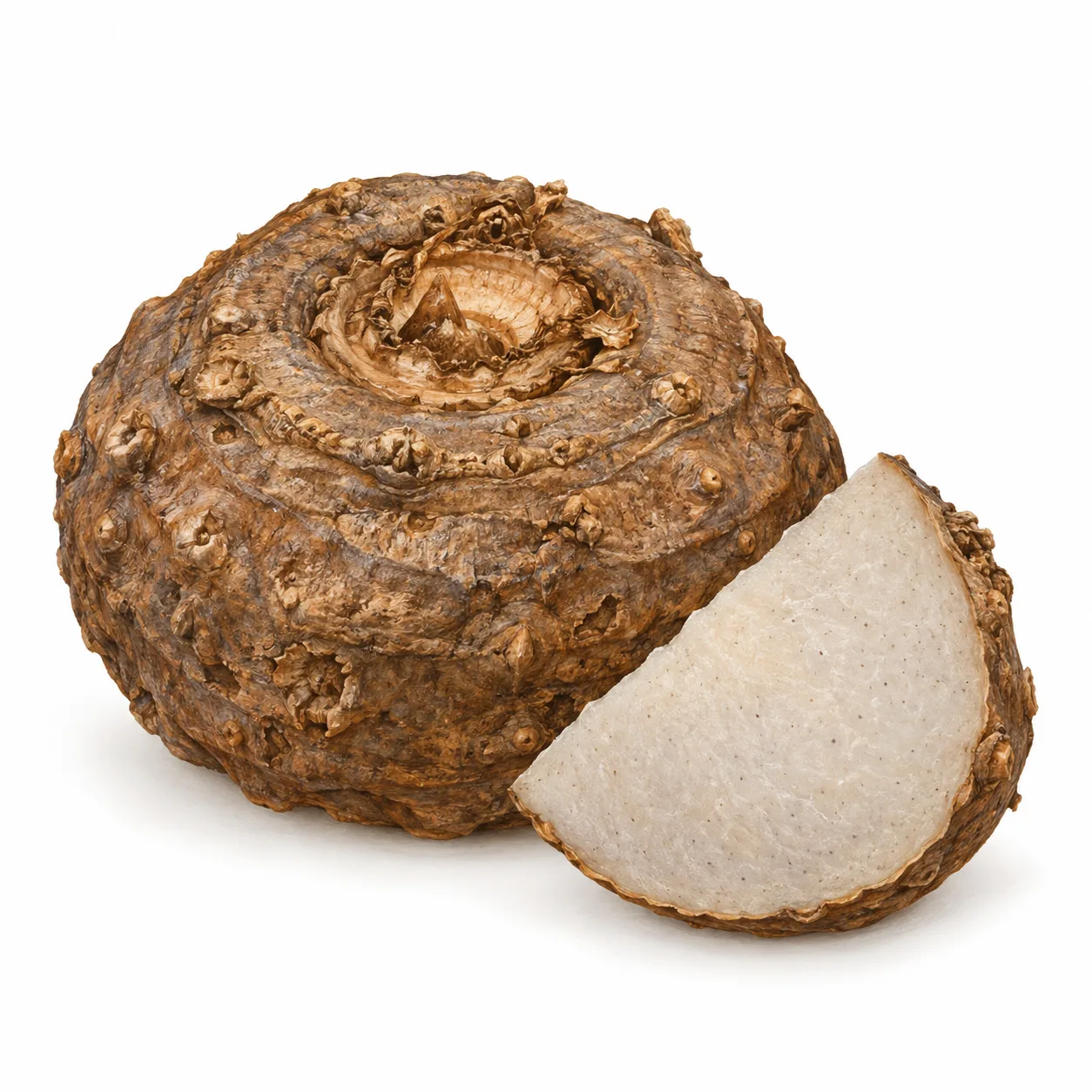 konjakrot