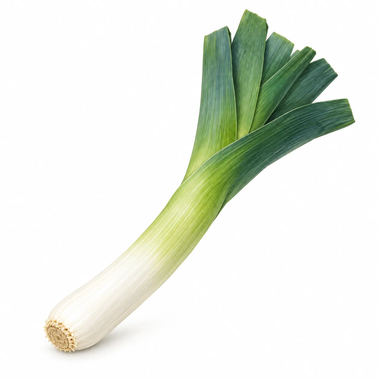 poireau