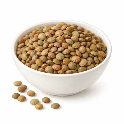 lentil