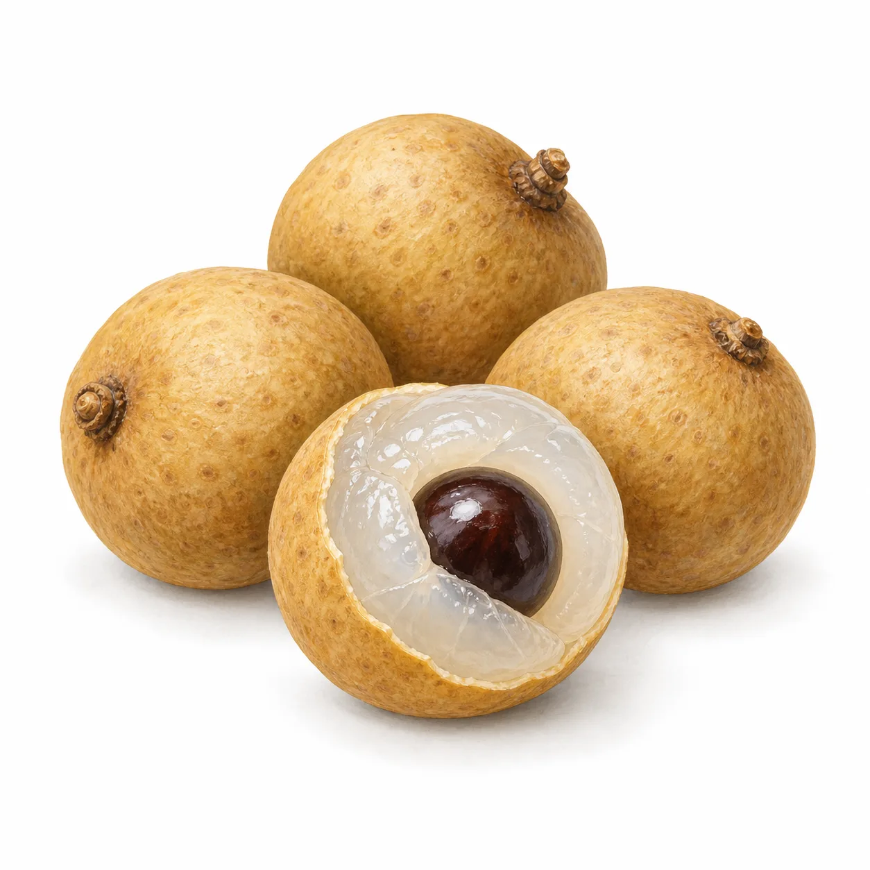 longan