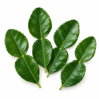 makrut lime leaf