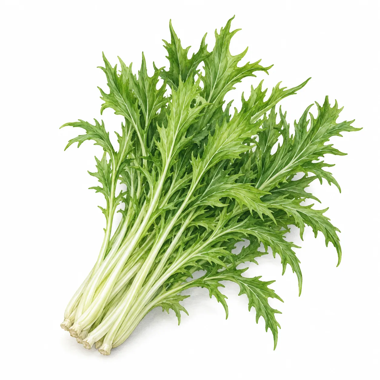 mizuna