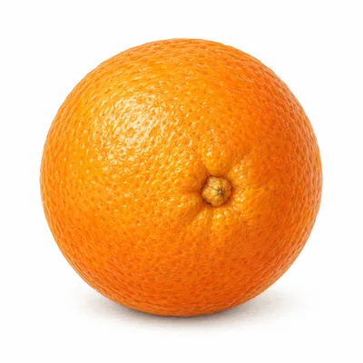 navel orange
