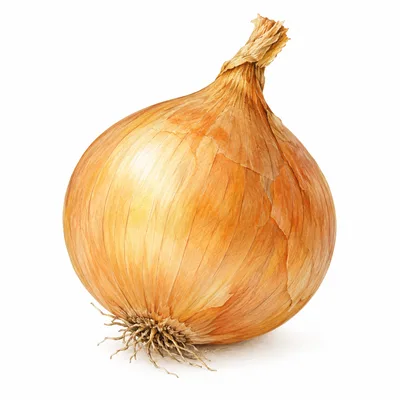 onion