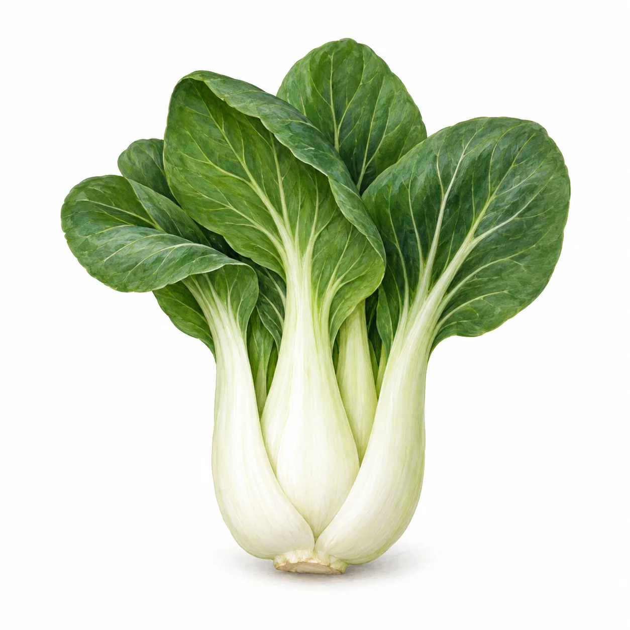 pak choi