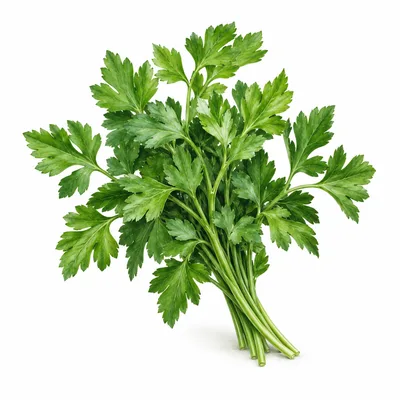 parsley