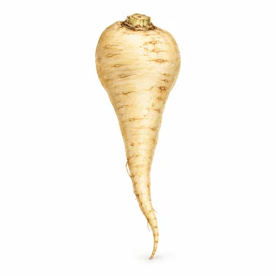 parsnip