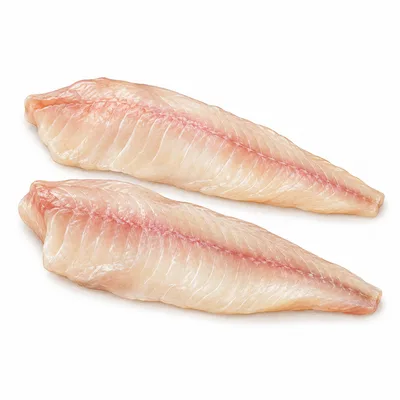 perch fillet