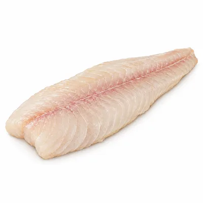 pike perch fillet