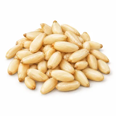 pine nut