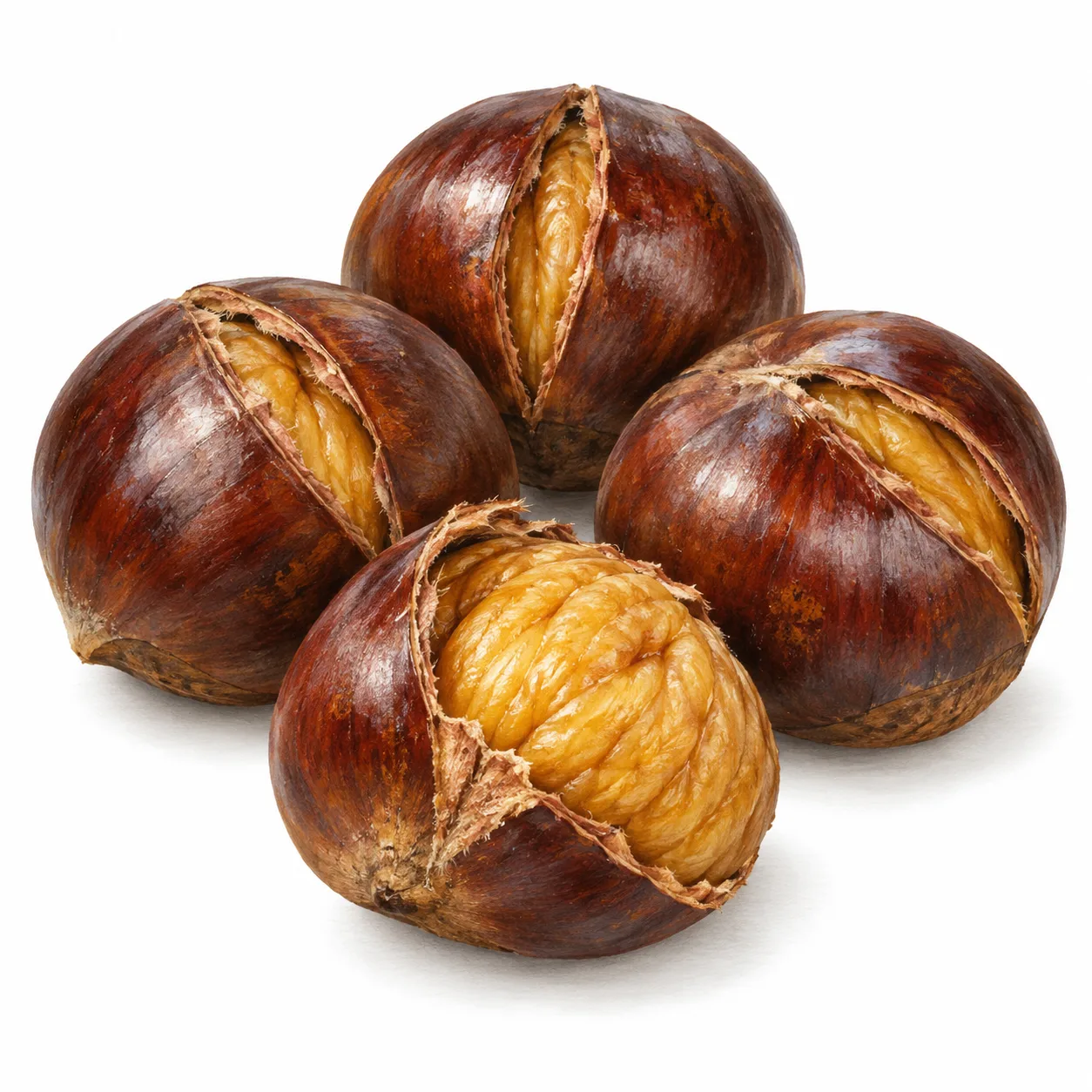 roasted chestnut