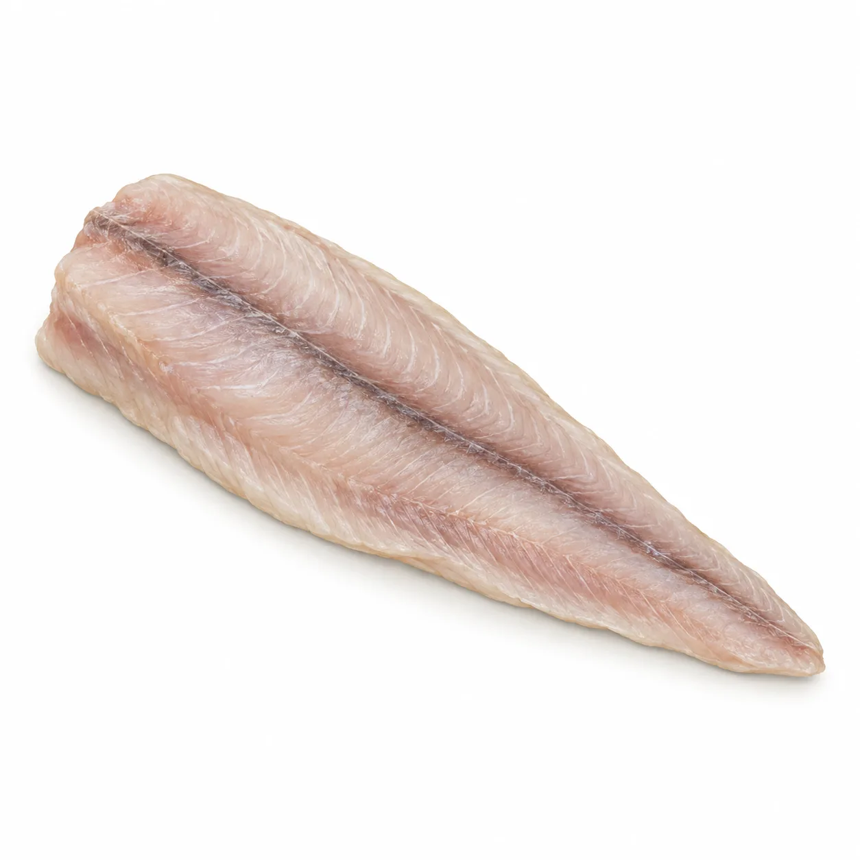 saithe fillet