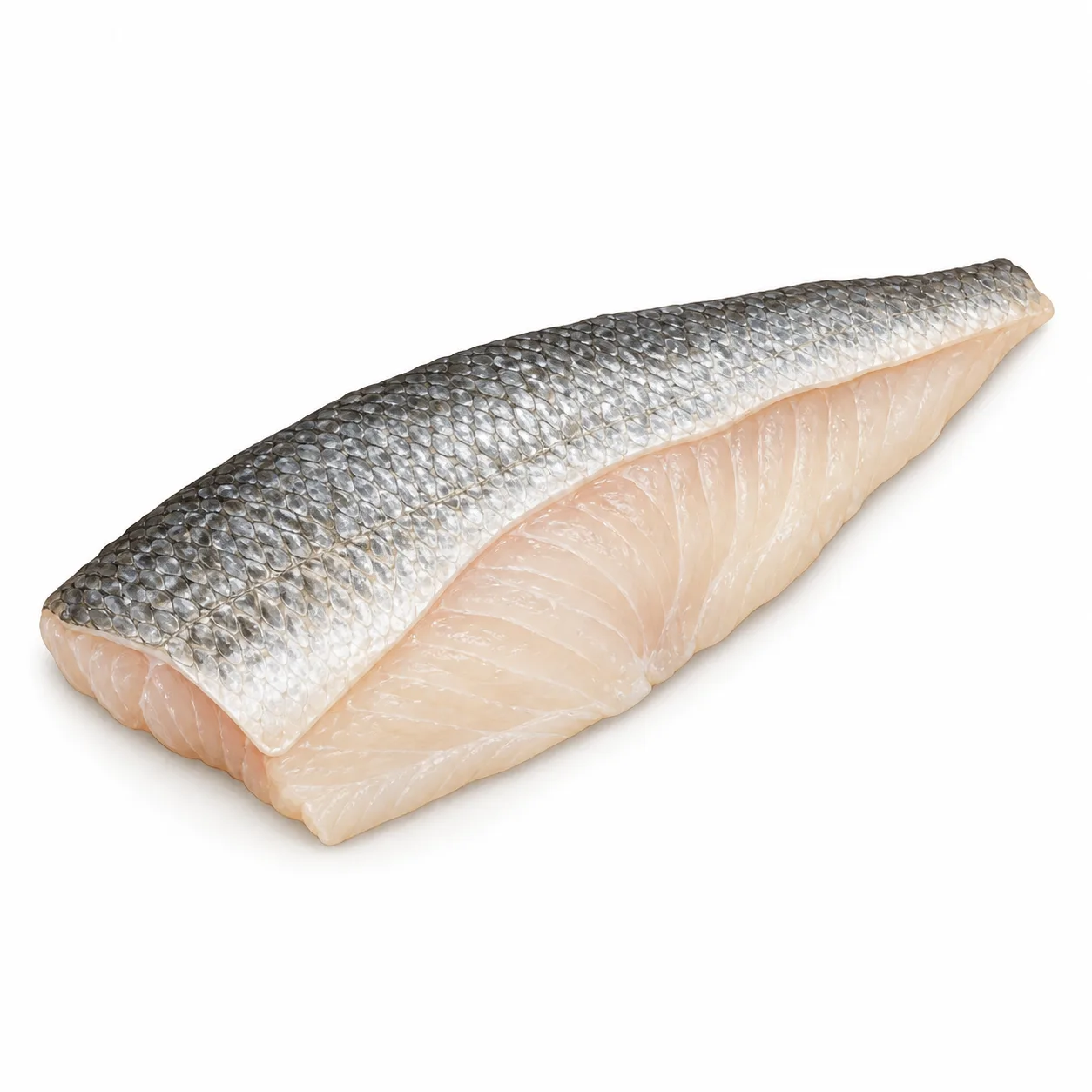 sea bass fillet