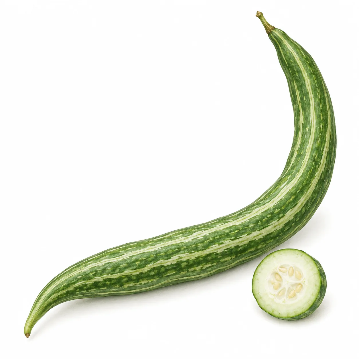 courge serpent