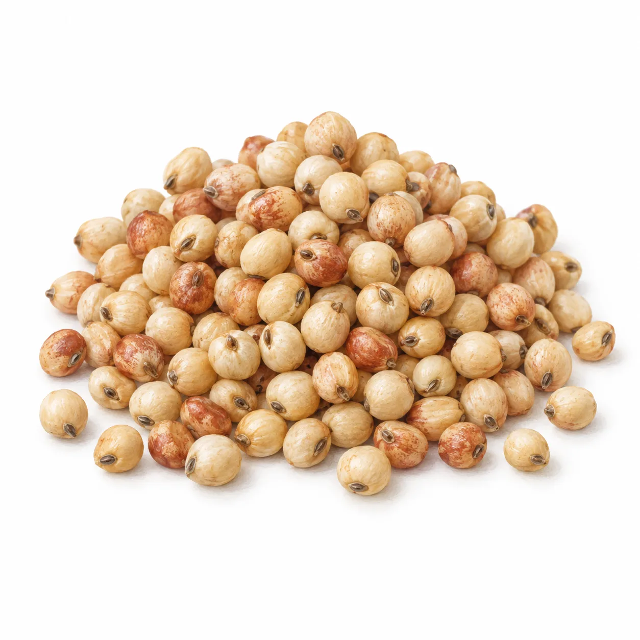 sorghum