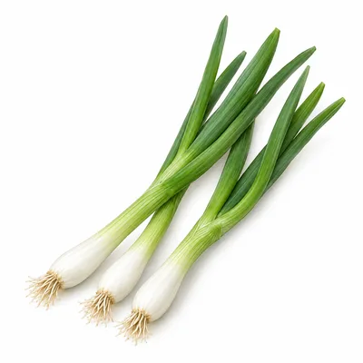 spring onion