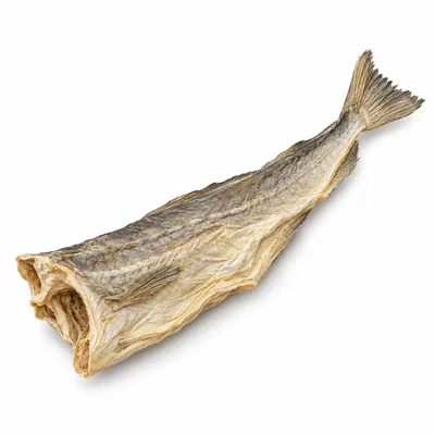stockfish