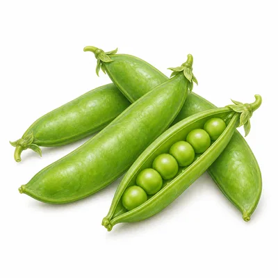 sugar snap pea