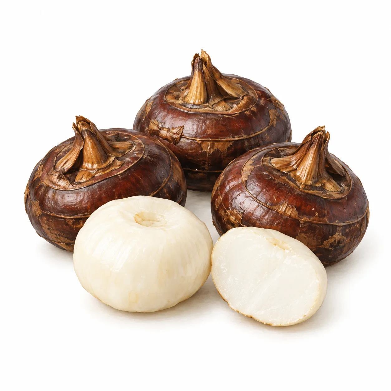 water chestnut