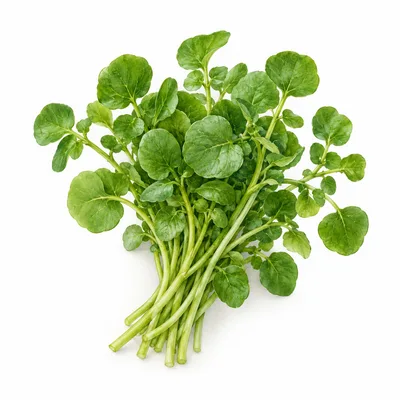watercress